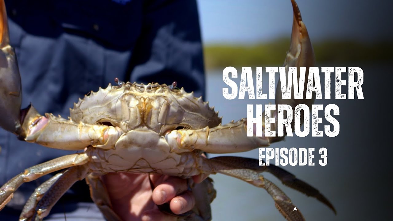 Saltwater Heroes | FULL EPISODE 