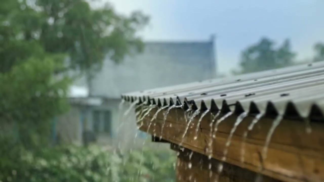 Enjoy the calming sound and peaceful view of rain gently falling from the sky