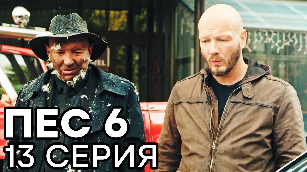 Сериал ПЕС 6 - 6 сезон - 13 серия - ВСЕ СЕРИИ смотреть онлайн | СЕРИАЛЫ ICTV