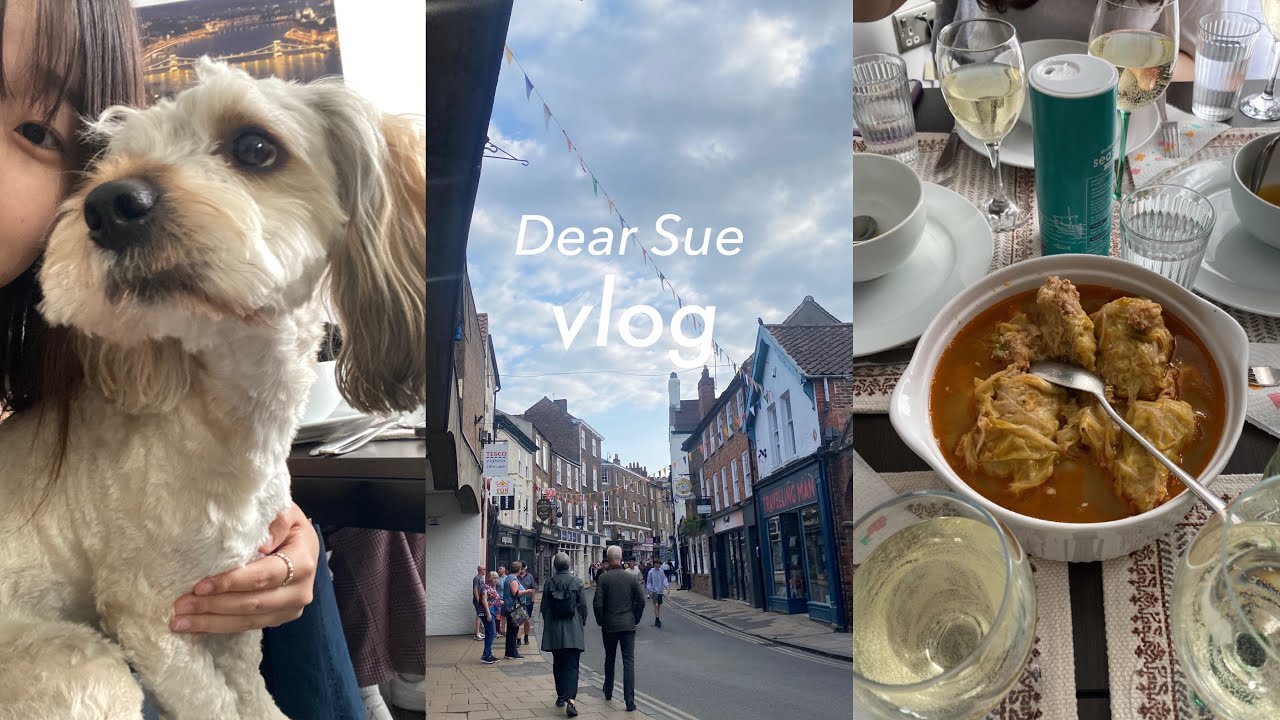 【vlog】イギリス留学｜学期後の3日間🍹ハンガリー料理をご馳走になった日🐩🐕‍🦺🫶🏻
