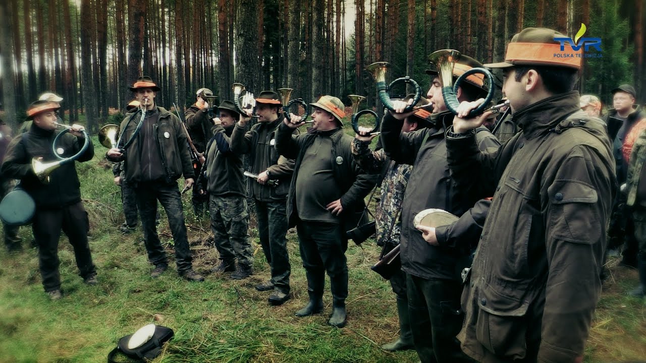 Darz Bór odc. 78 - II Wielkie Łowy Borów Dolnośląskich cz. 1