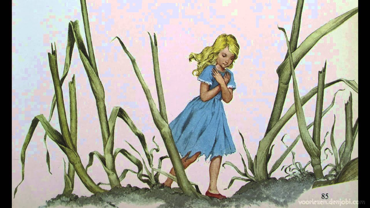 Duimeliesje - sprookje van H.C. Andersen met plaatjes