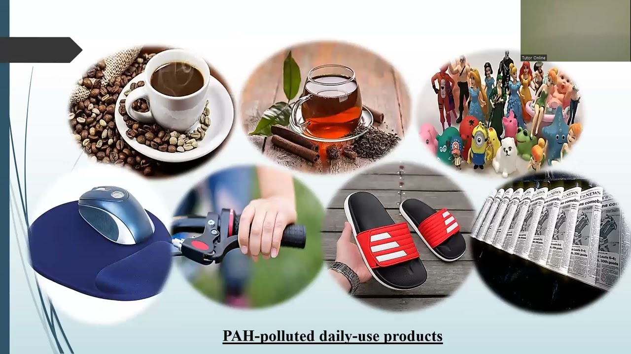 Understanding Polycyclic Aromatic Hydrocarbons (PAHs): Health Risks & Environmental Impact