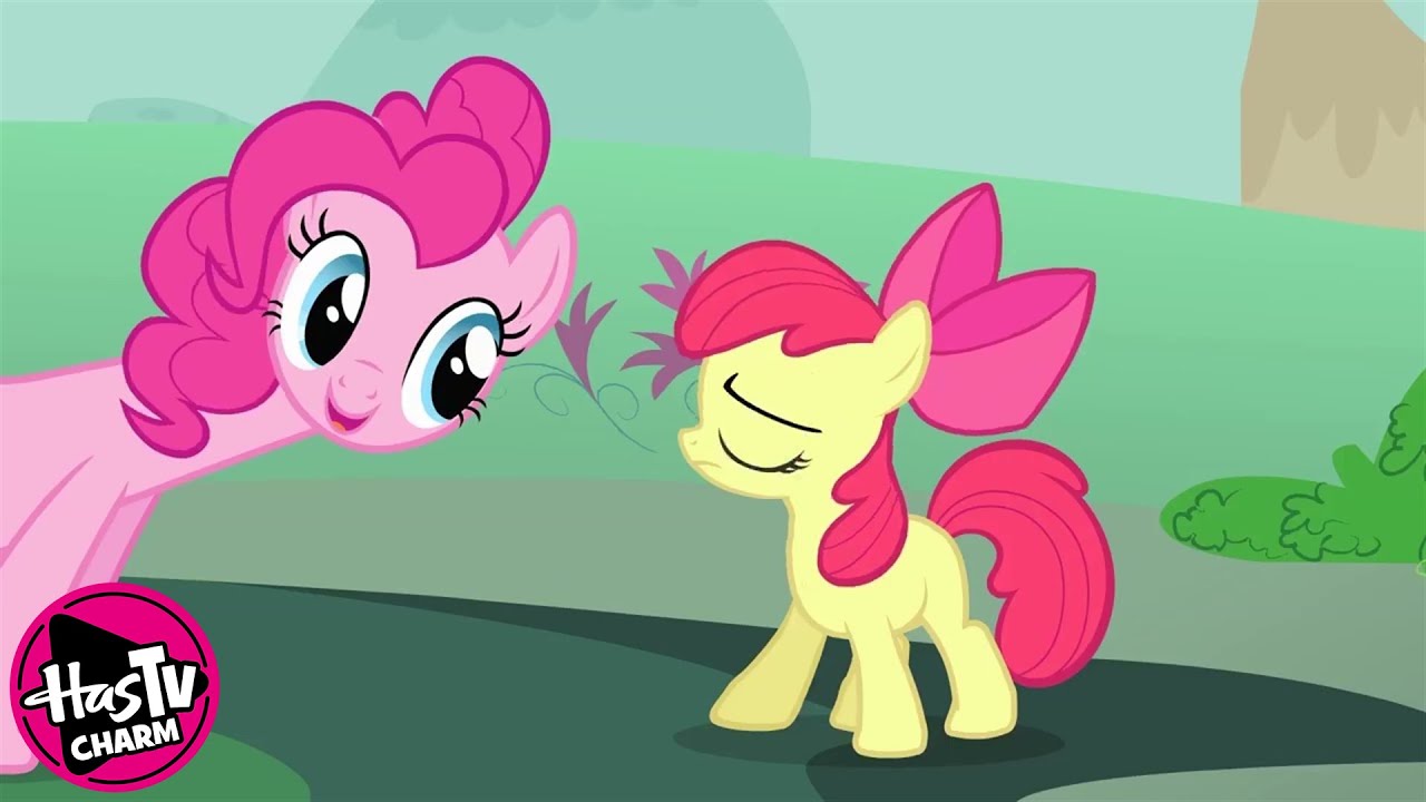 Call of the Cutie | My Little Pony: Friendship is Magic 🦄 Fan Favorites ✨ HasTV Charm