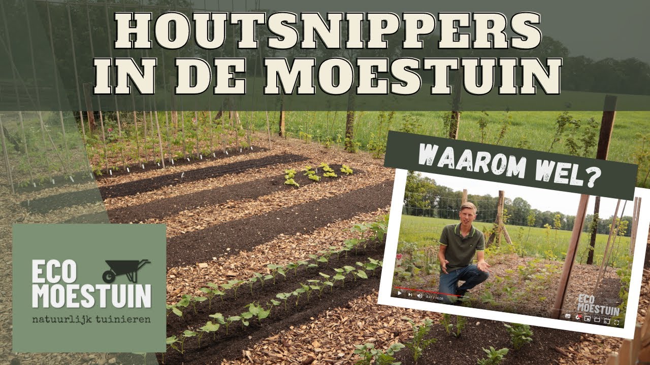 Houtsnippers in de moestuin
