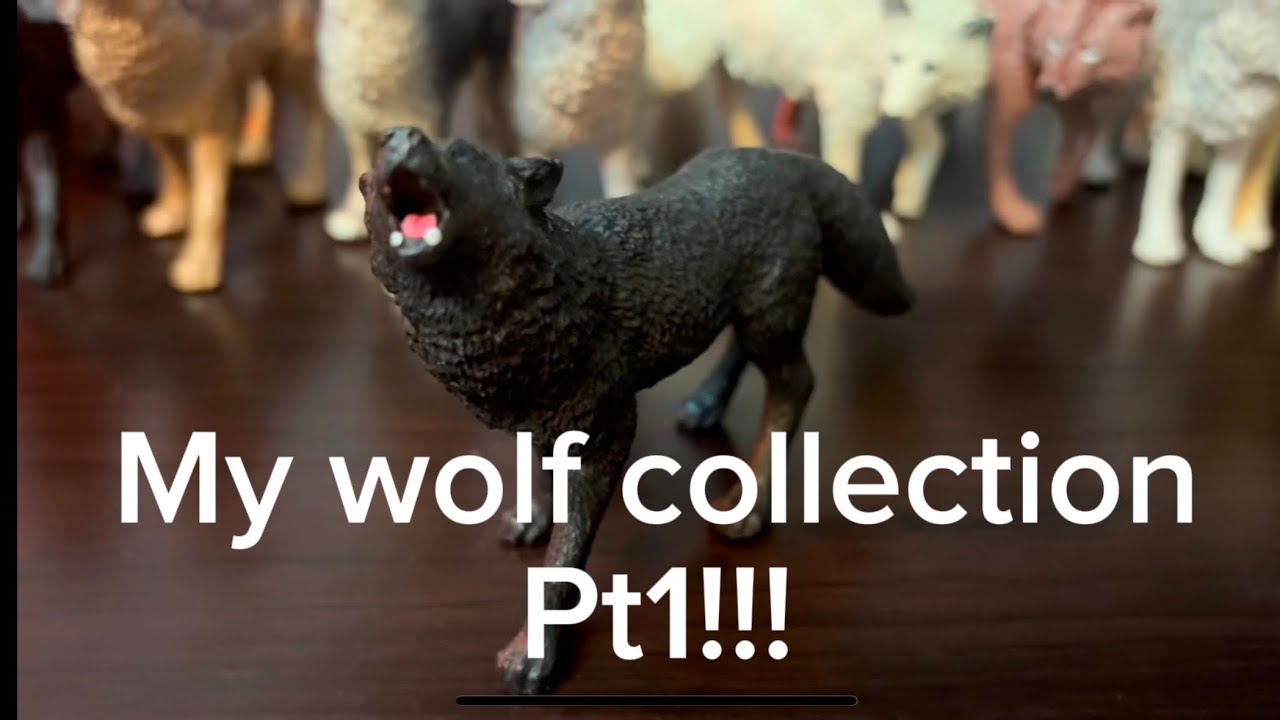 My wolf collection!! Pt1