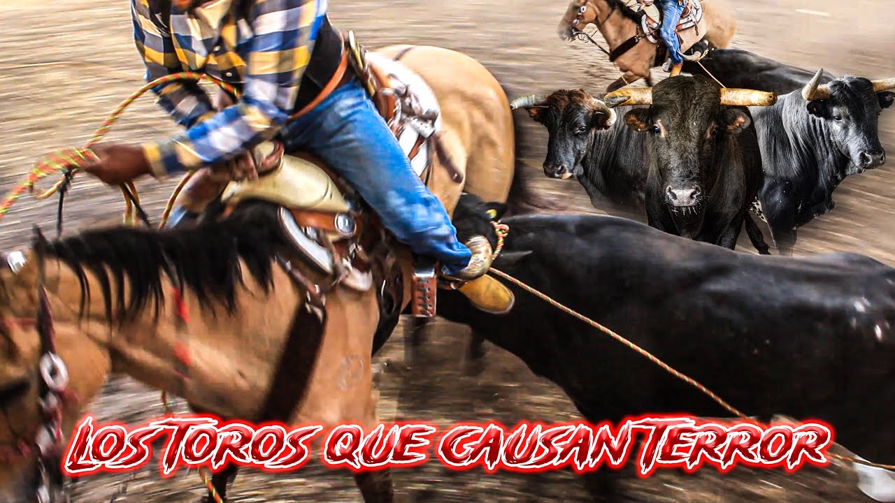 El toro que pintó una tarde Gris en el Relicario😨 ‼️🔥 Visitamos a las 3 Tumbas de Apaseo 🔥🔥‼️
