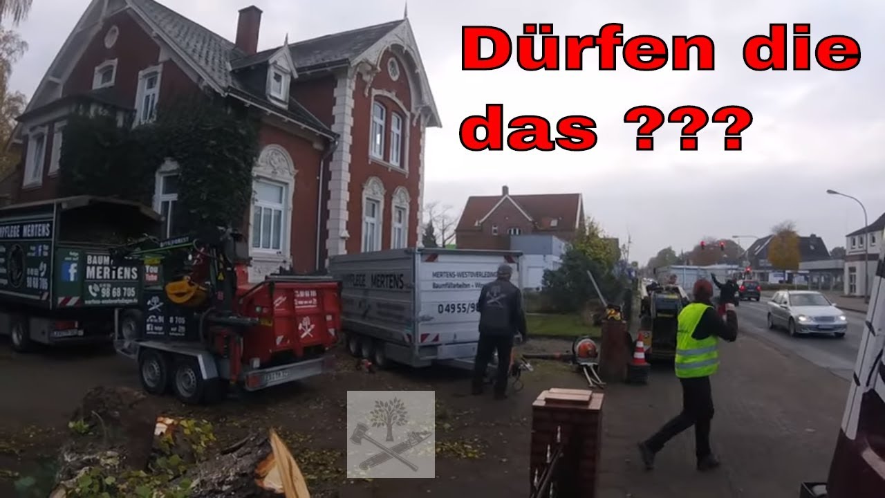 Das dürfen die nicht...! | Baumpflege Mertens