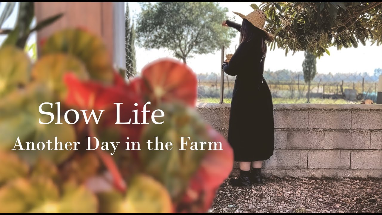 Another Day in the Farm 🍂🍁| 7:00 Morning | Slow Life | Coffee | cooking | Picking Fruit | Iran 2024