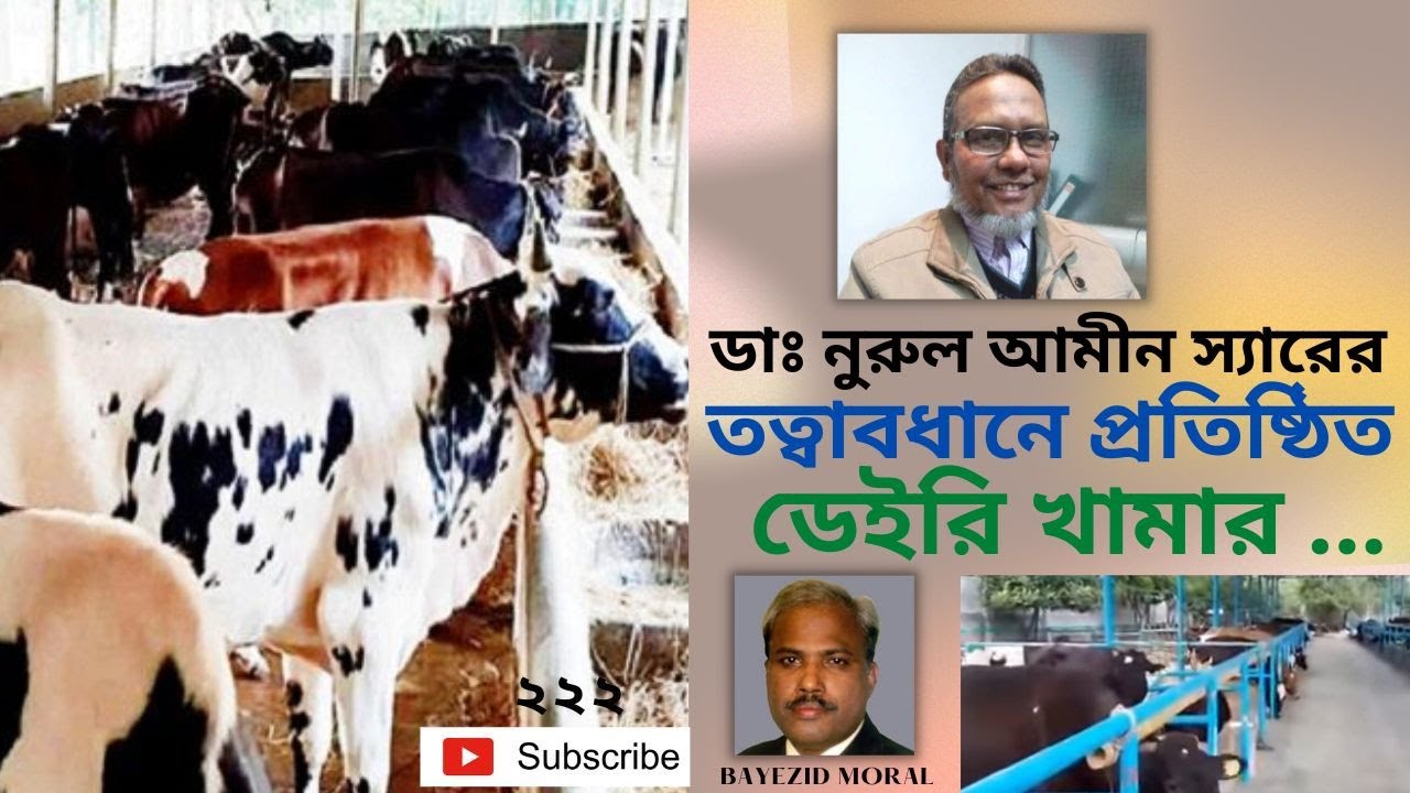 ডাঃ নুরুল আমীন স্যার, এই খামারটিকে যশোরের একটি আদর্শ ডেইরি খামার ঘোষনা দেন | Idol Dairy Farm