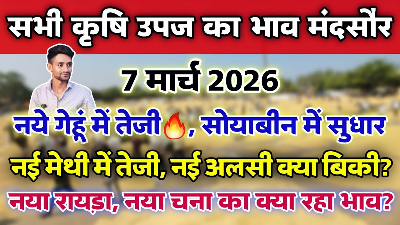 सभी कृषि उपज का भाव मंदसौर मंडी 7 मार्च 2026 | Mandsaur Mandi ka bhav #mandsaur_mandi_bhav 