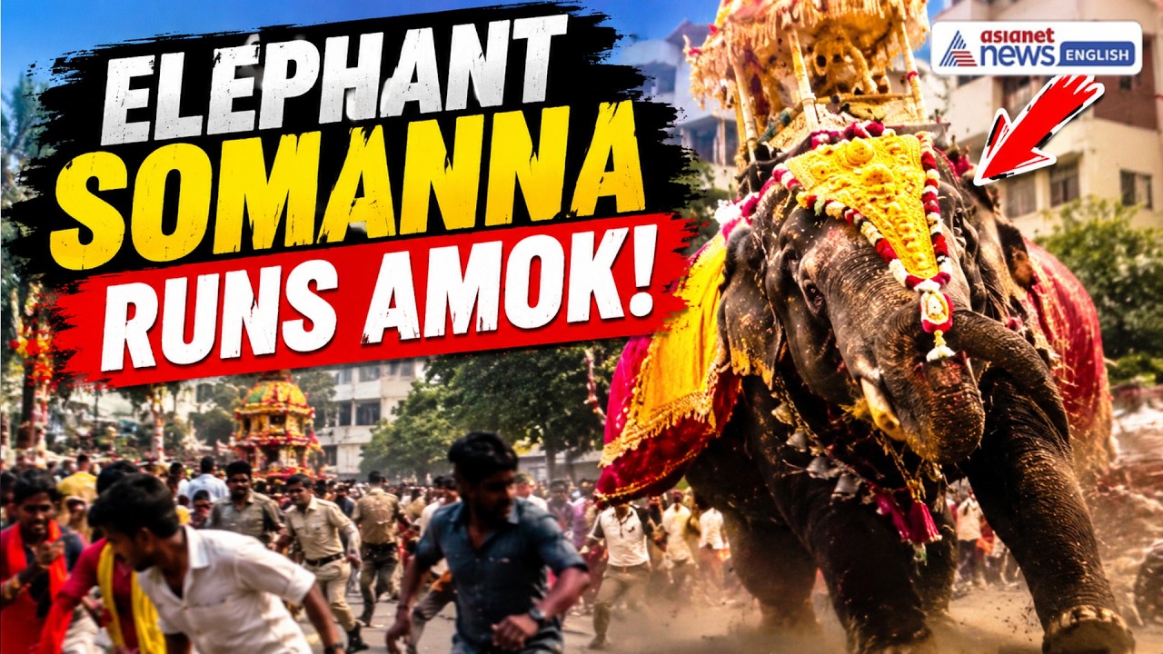 Karnataka SHOCKER! Elephant Somanna Panics, Sparks Chaos | Shivamogga Jamboo Savari