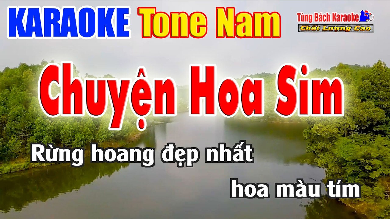 Chuyện Hoa Sim | Karaoke Tone Nam | Nhạc Sống Tùng Bách