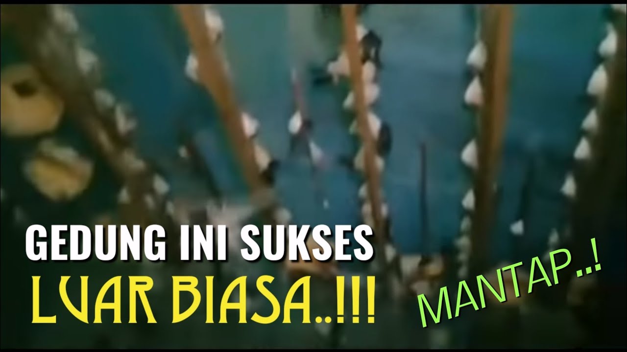 Ribuan Walet Dalam Rumah Burung Mini - Suara Tarik Anak Walet