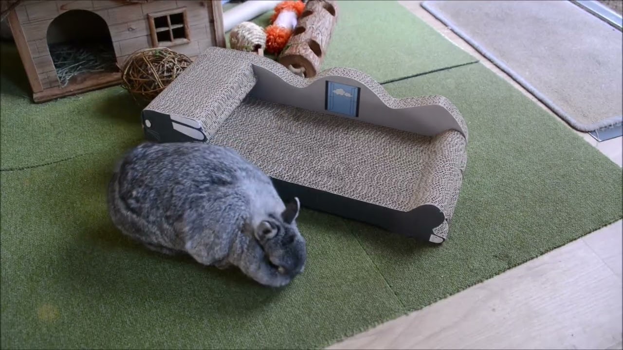 Konijnen Pepa en Nobbie de konijnen krabbelknabbelmat
