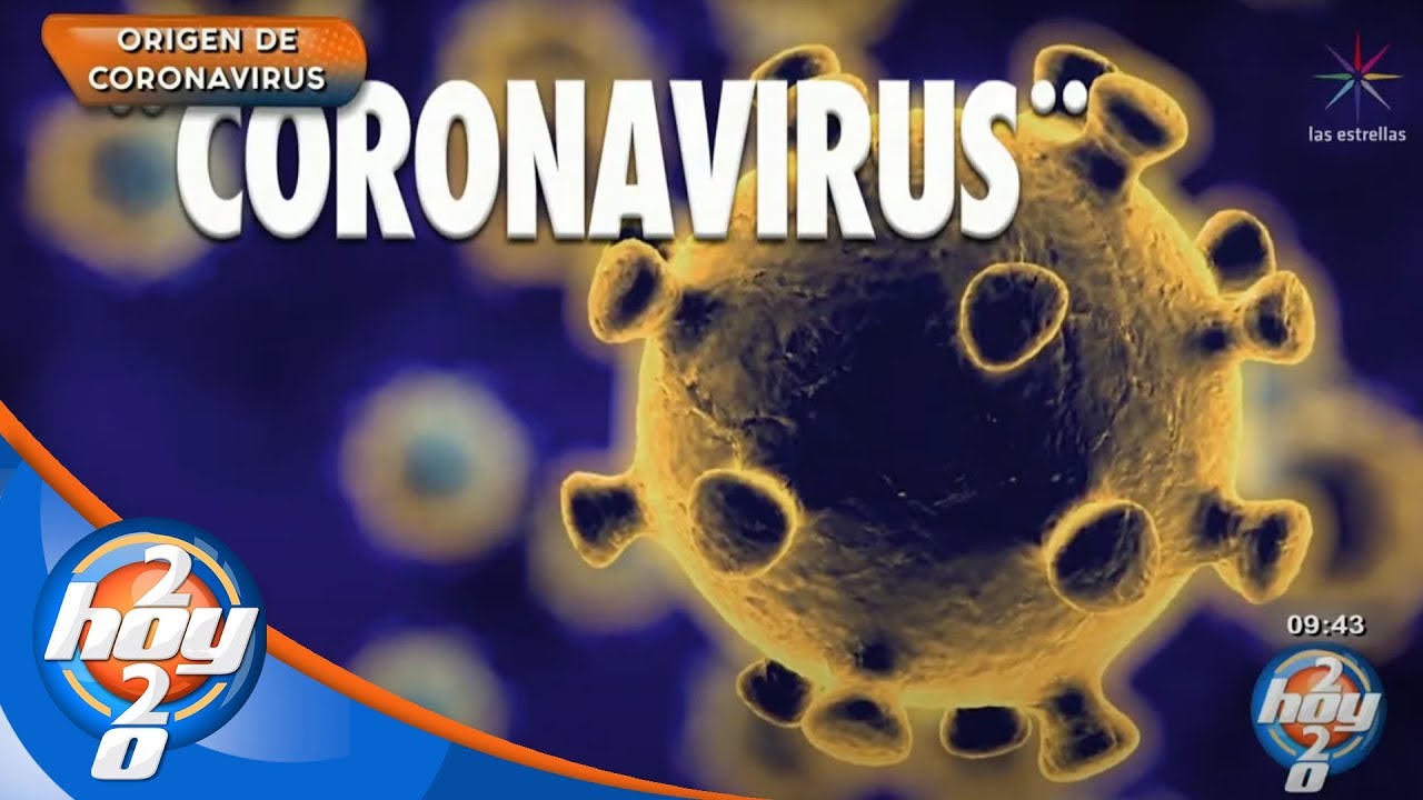 Origen de la palabra coronavirus | A que no sab&iacute;as... | Hoy