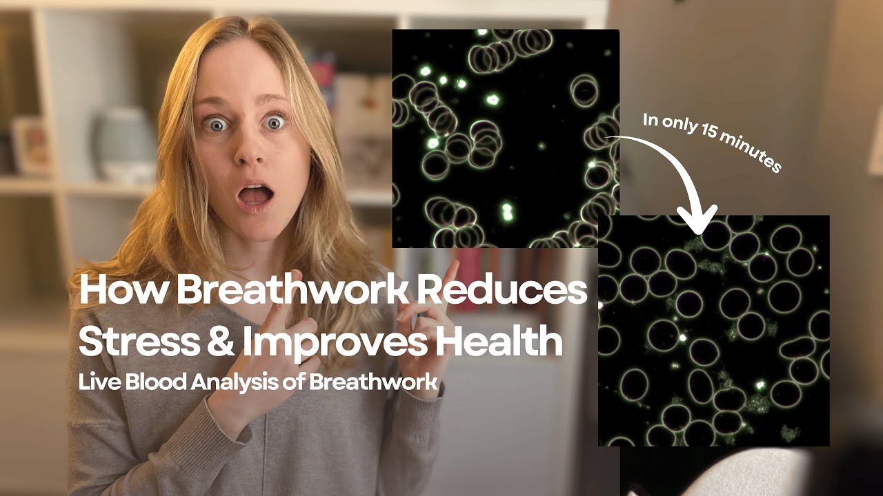 Proof of How Breathwork Reduces Stress & Improves Health | Breathwork Live Blood Analysis 
