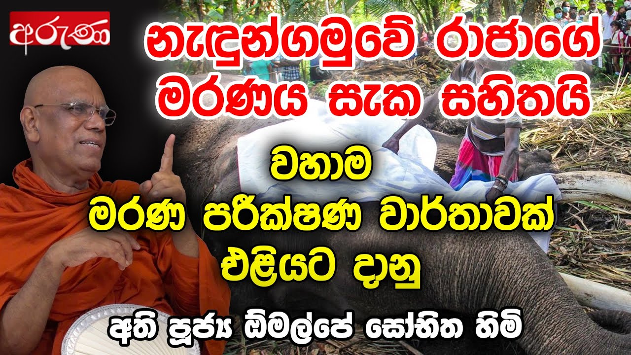 නැඳුන්ගමුවේ රාජාගේ මරණය සැක සහිතයි - වහාම මරණ පරීක්ෂණ වාර්තාවක් එළියට දානු - Aruna.lk - Derana Aruna