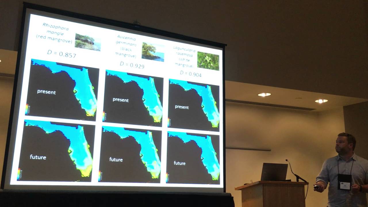Hodel:Projecting potential distributions of mangrove and beyond using ecological niche modeling