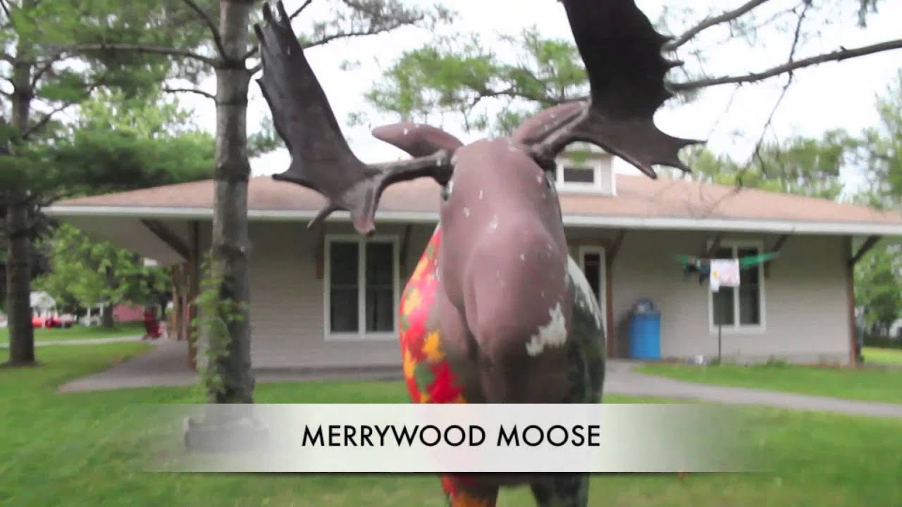 Camp Merrywood Tour
