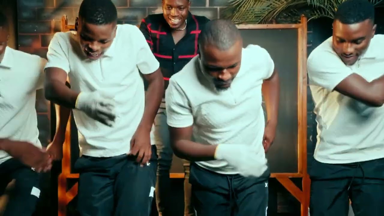 Feza - Imizamo Yami (Visualizer)