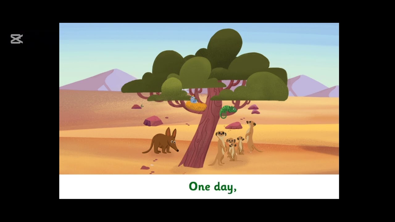 The umbrella tree #fyp