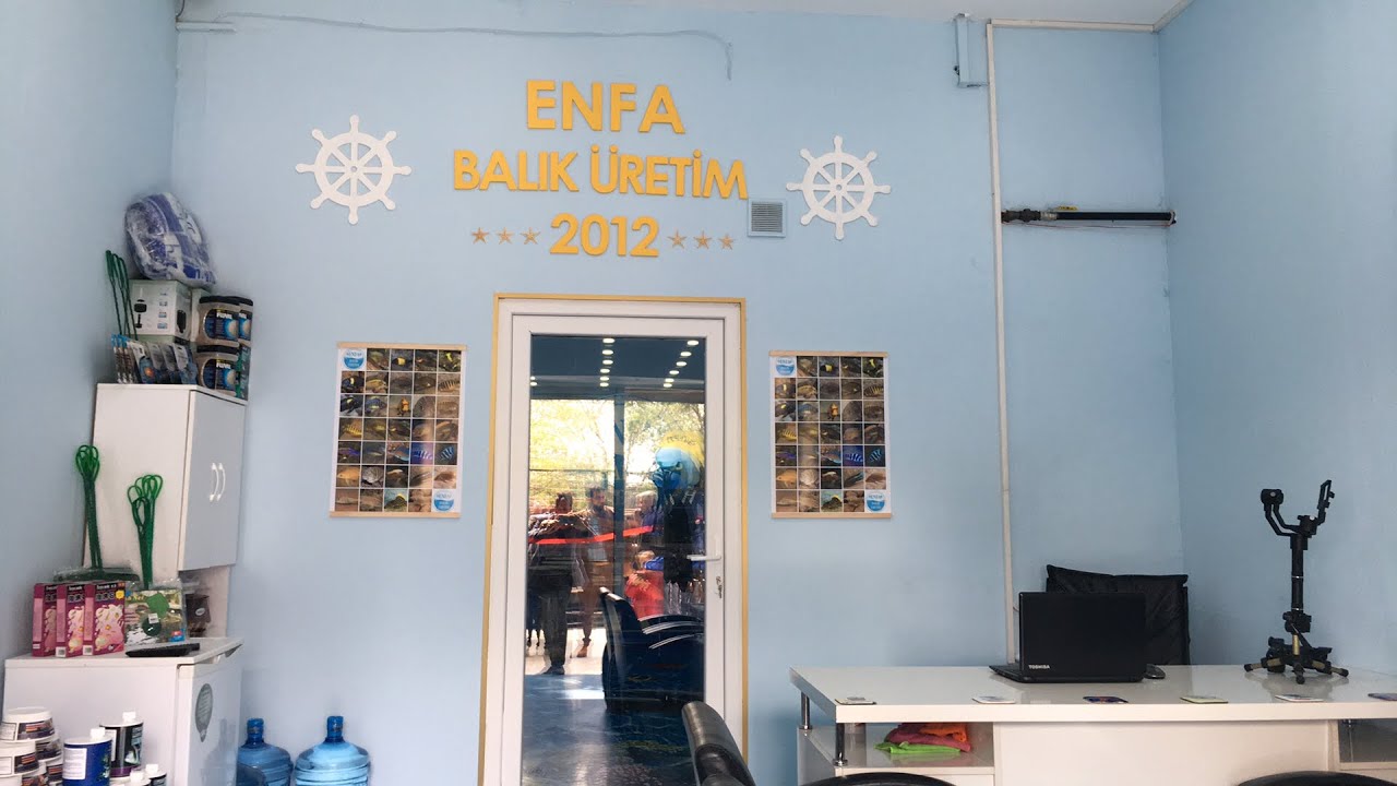 Enfa balıküretim Açılıyor ...