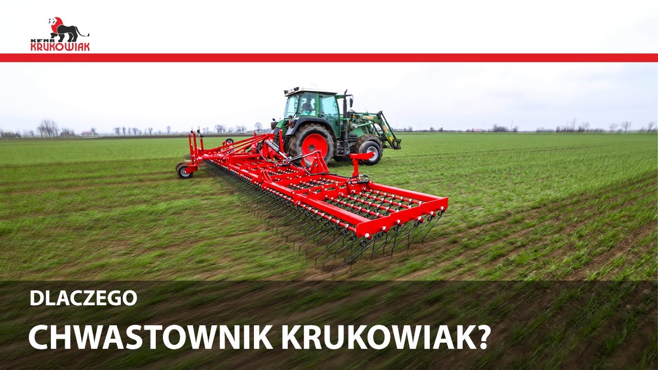 🧐DLACZEGO CHWASTOWNIK? | KRUKOWIAK