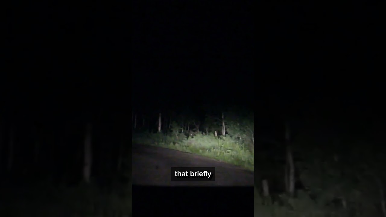 Utah Bigfoot 2014 #bigfoot #cryptids #paranormal #creepy