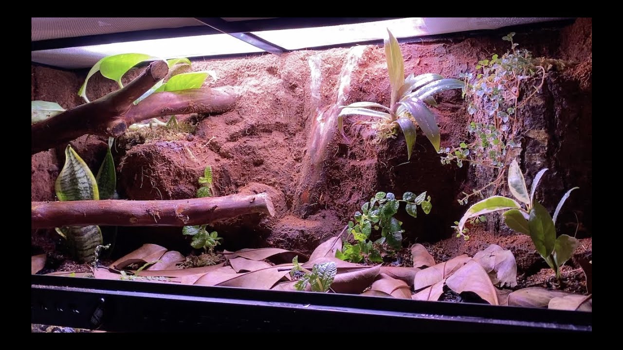 BIOACTIVE BUILD | PLANTING THE BIOACTIVE