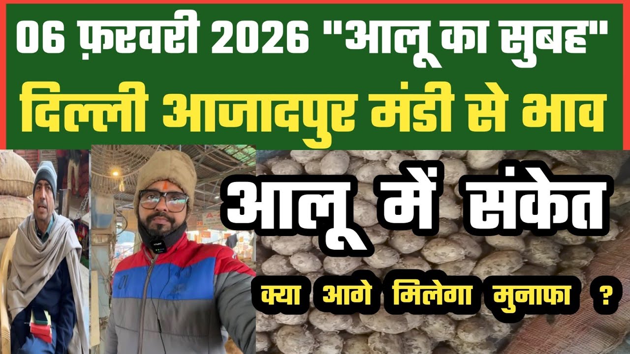 क्या आलू में ऐसे बनेगी चमक ? 🤔 Azadpur Delhi Mandi Today में 06-02-2026 के Potato Price DMT TV