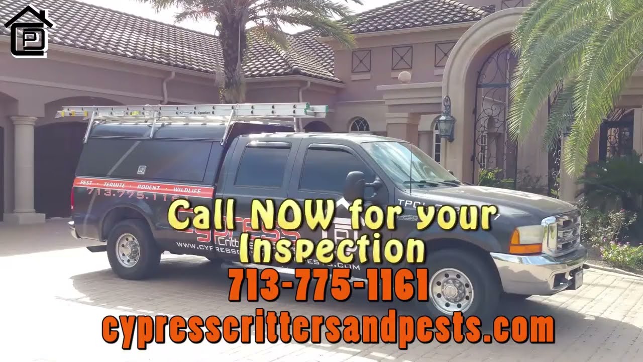 Pest Control Animal Trapping Termite Ant and Bedbug Exterminator Waller Tx