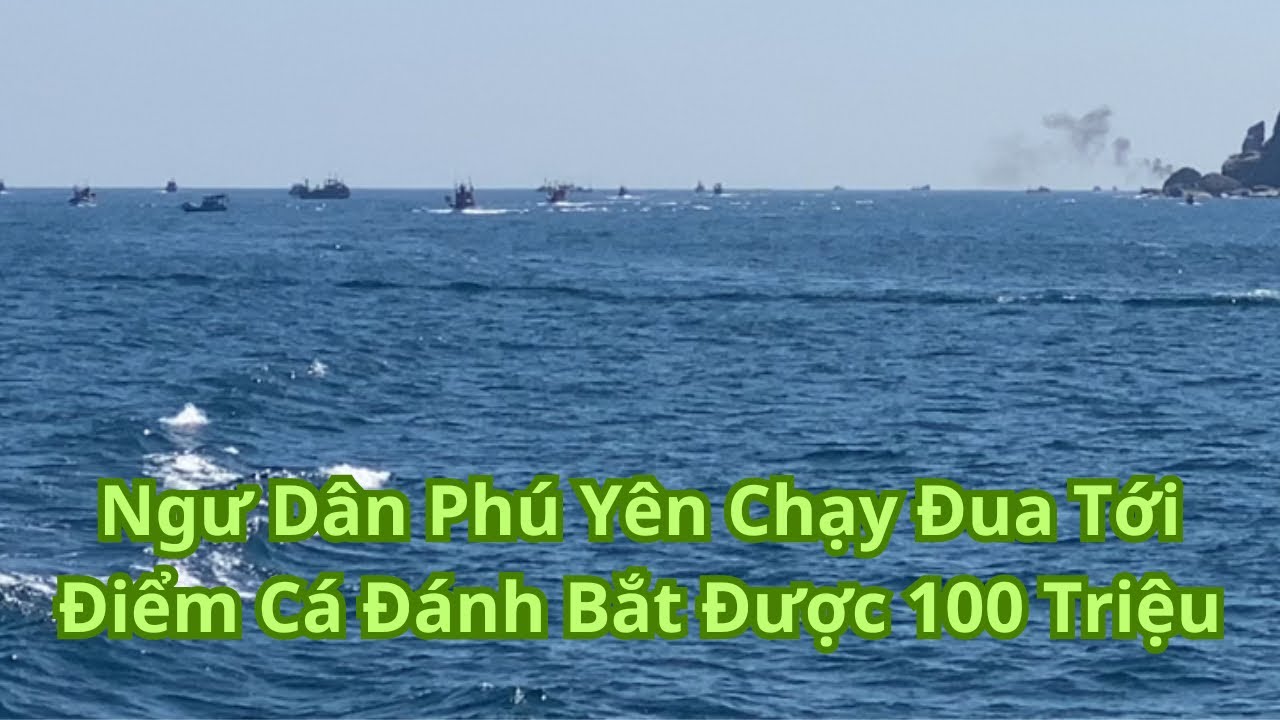 Ngư Dân Phú Yên Chạy Đua Tới Điểm Cá Đánh Bắt Được 100tr