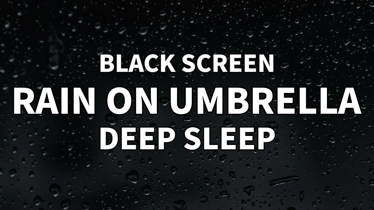 Black Screen Rain on Umbrella for Sleep (8 Hours, No Thunder) | Dark Screen Rain Ambience