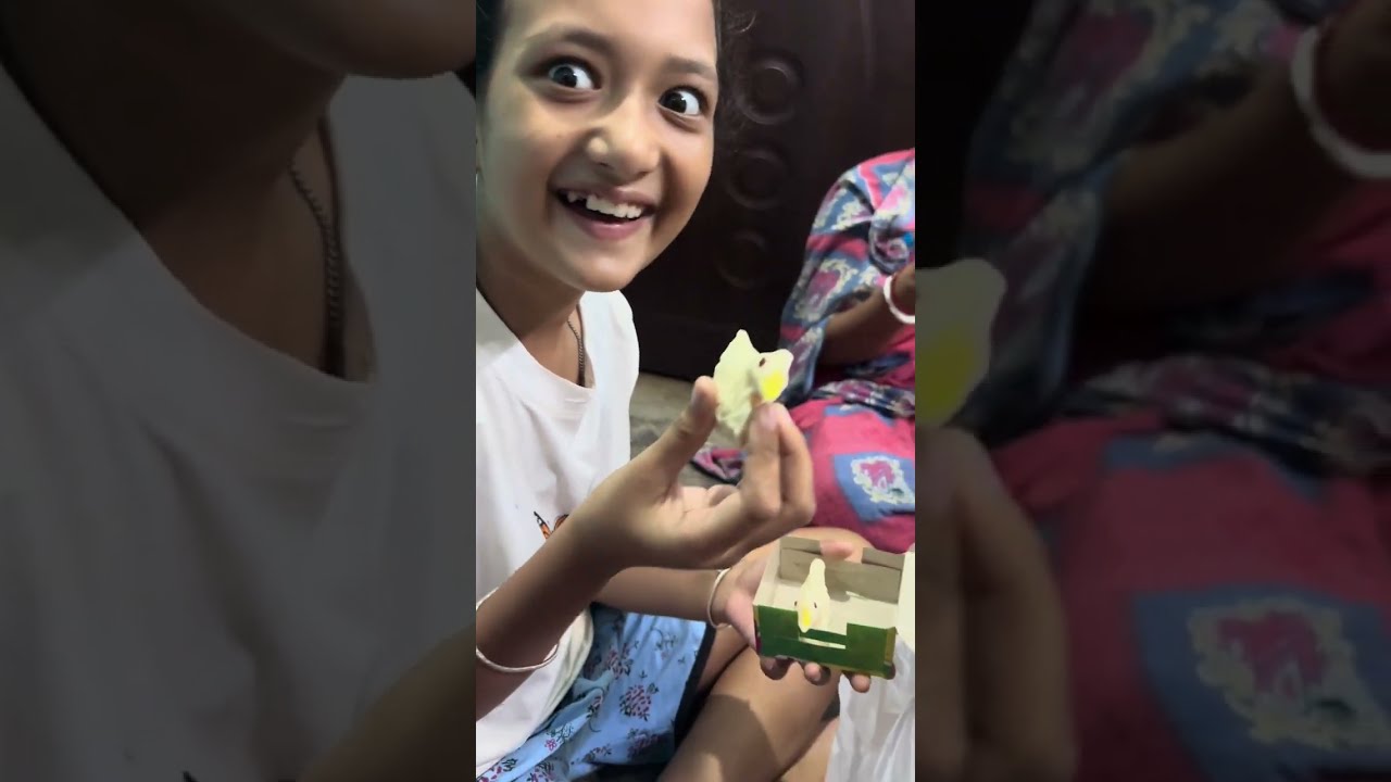 দাঁড়াও দাঁড়াও যাচ্ছ কোথায় ￼আমাদের দুই বোনের কৃতিকলাপটা একটু দেখে যাও ||