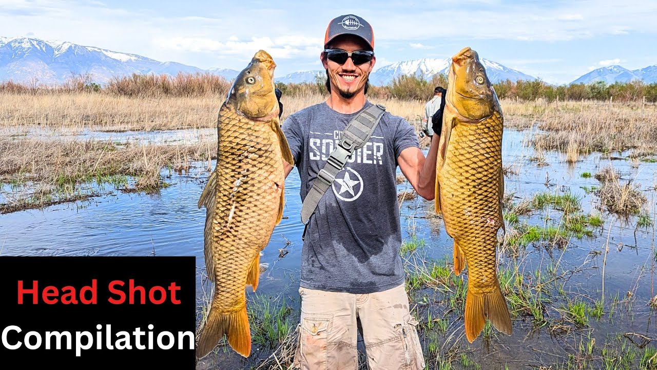 Bowfishing A FLOODED FIELD (Utah Lake Bowfishing)