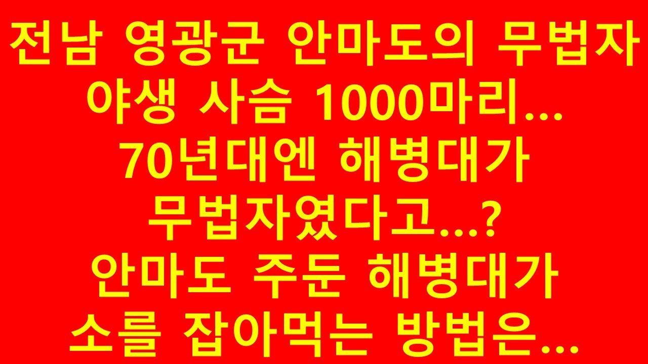 전남 영광군 안마도 해병대가 요즘 야생사슴보다 무법자였다고?