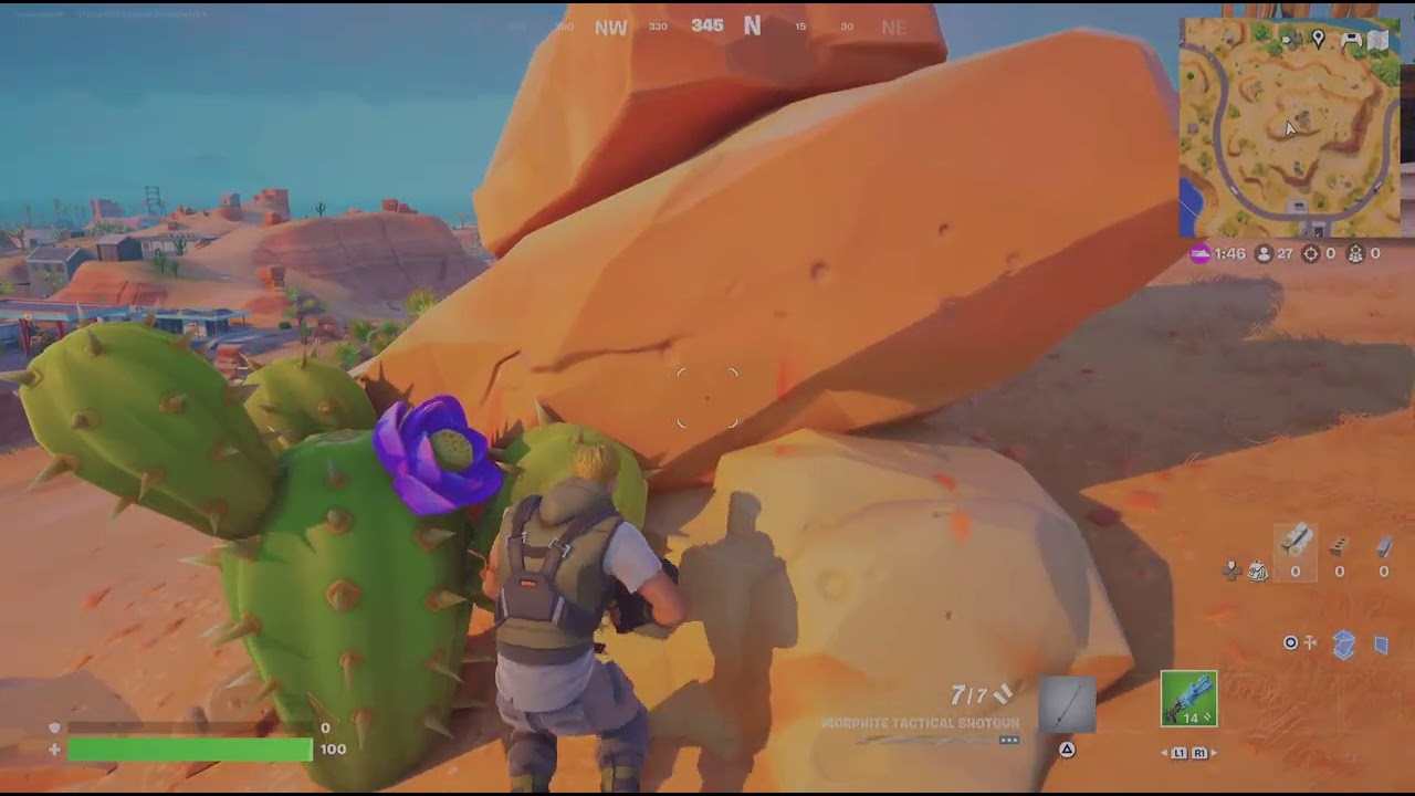 Fortnite_20260124154807