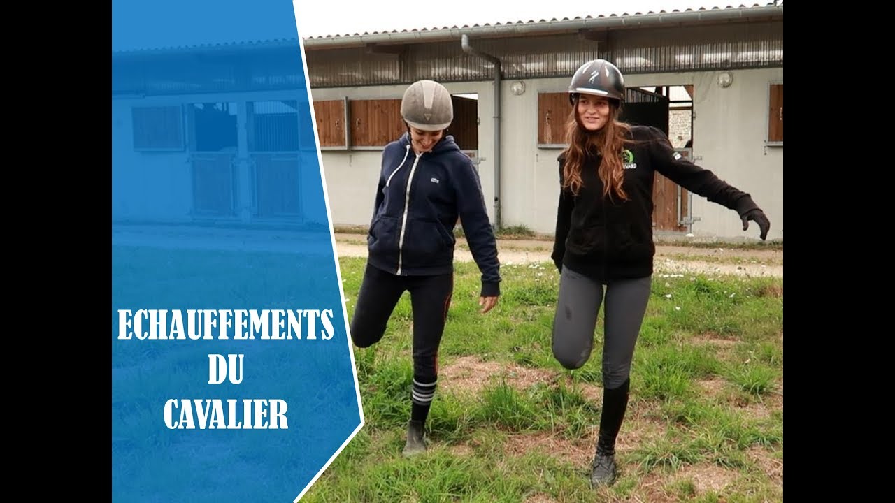 Quels échauffements faire avant de monter à cheval