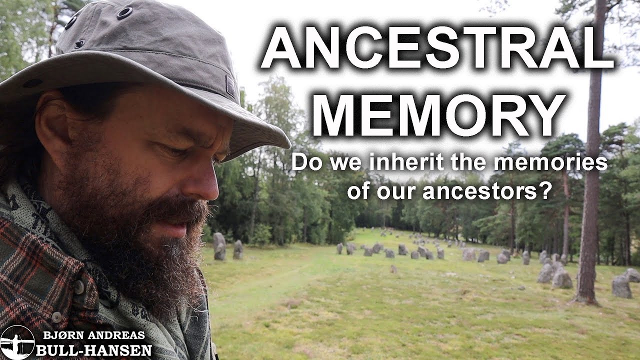Do We Inherit Our Ancestors' Memories? Epigenetics and Genetic Memory in the DNA of Mammals