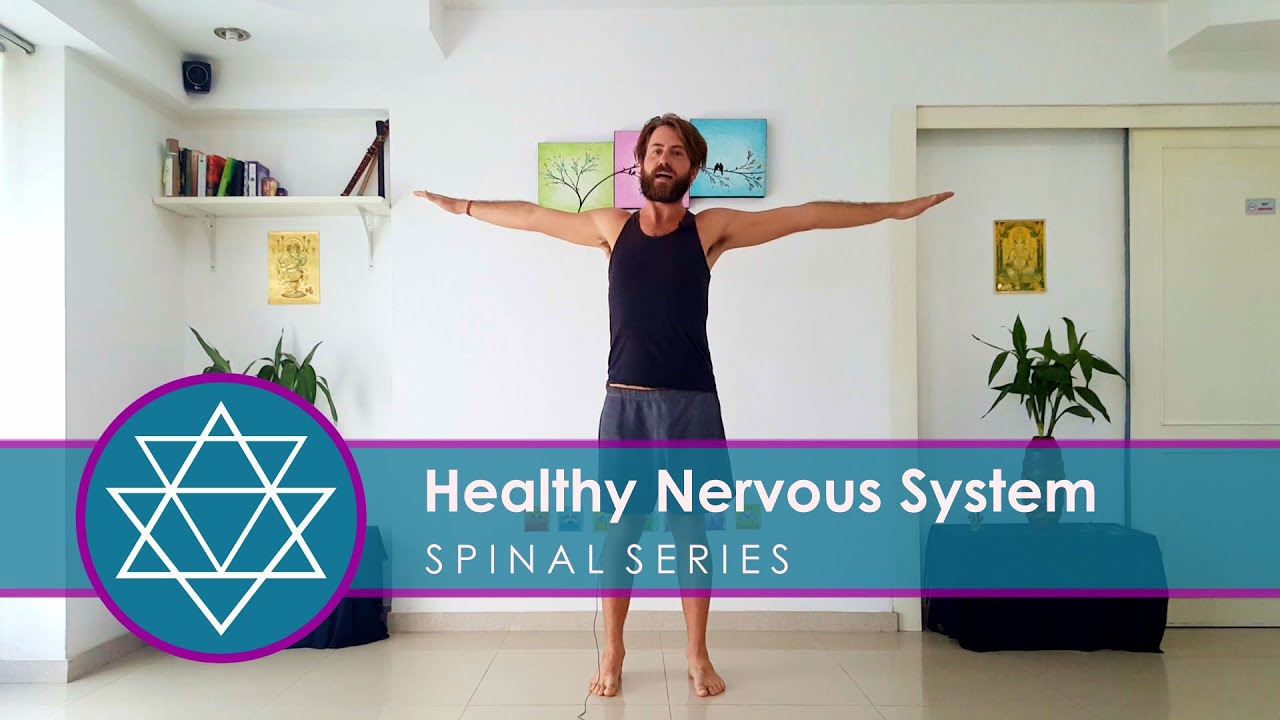Spinal Series for a Healthy Nervous System