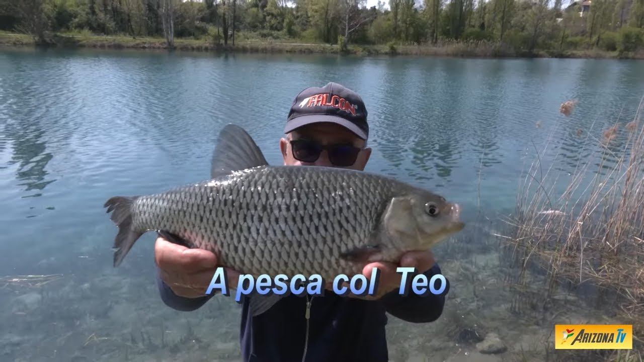 MONDO PESCA - A PESCA COL TEO - LE SCARDOLE DEL MINCIO - PESCHIERA DEL GARDA - #pesca  #pescare
