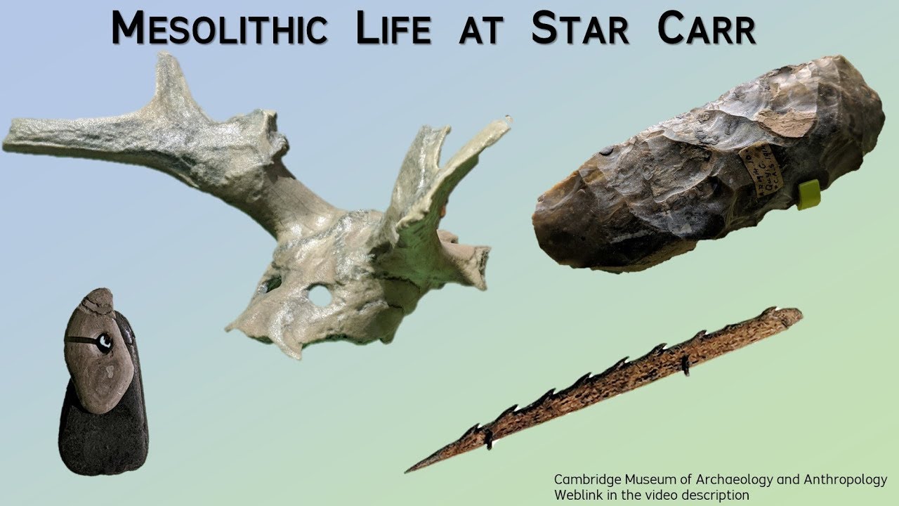 Mesolithic Life at Star Carr - Archaeology Studio 048