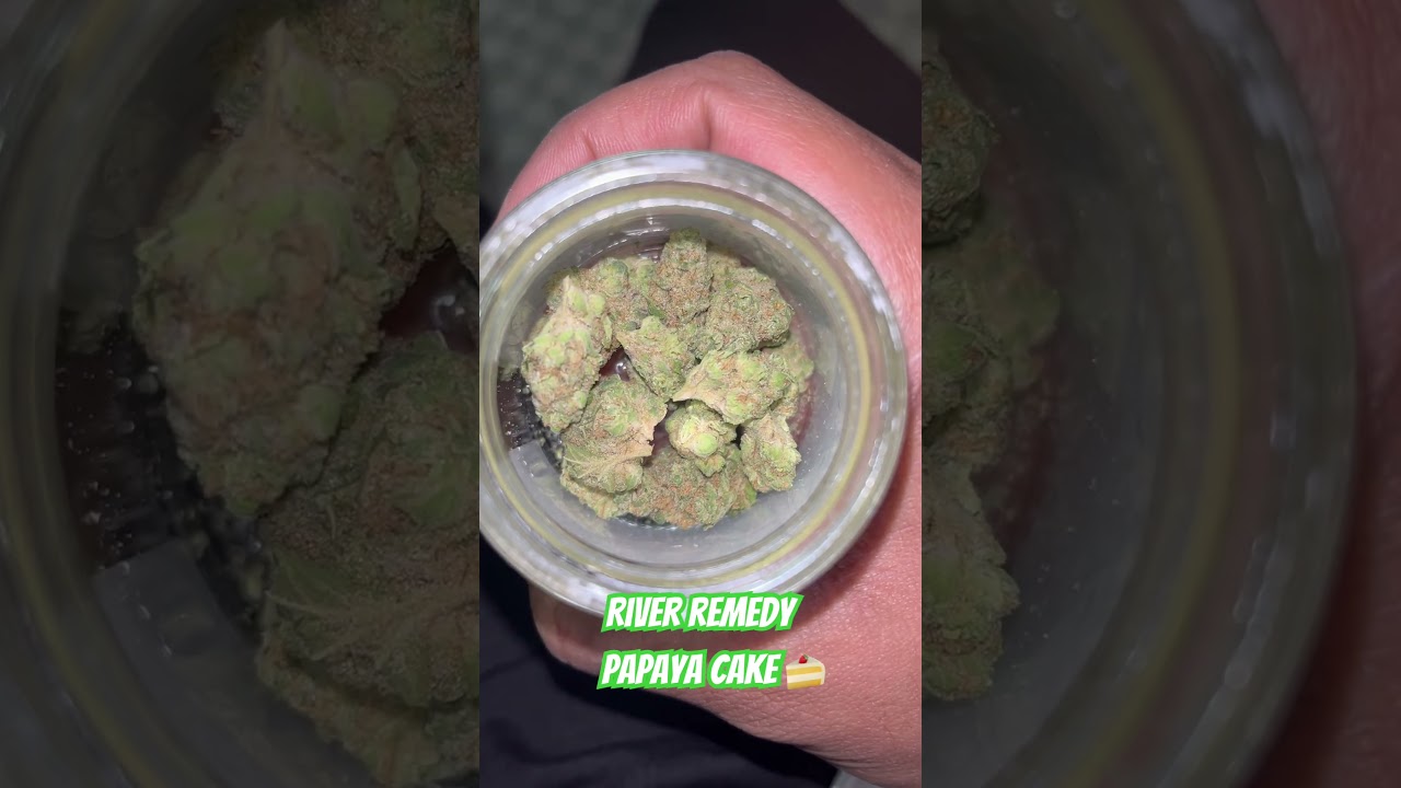River Remedy - Papaya Cake 🍰 #cannabisdaily #medicalcannabis