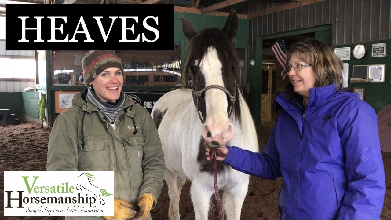 Facts about Heaves // Versatile Horsemanship