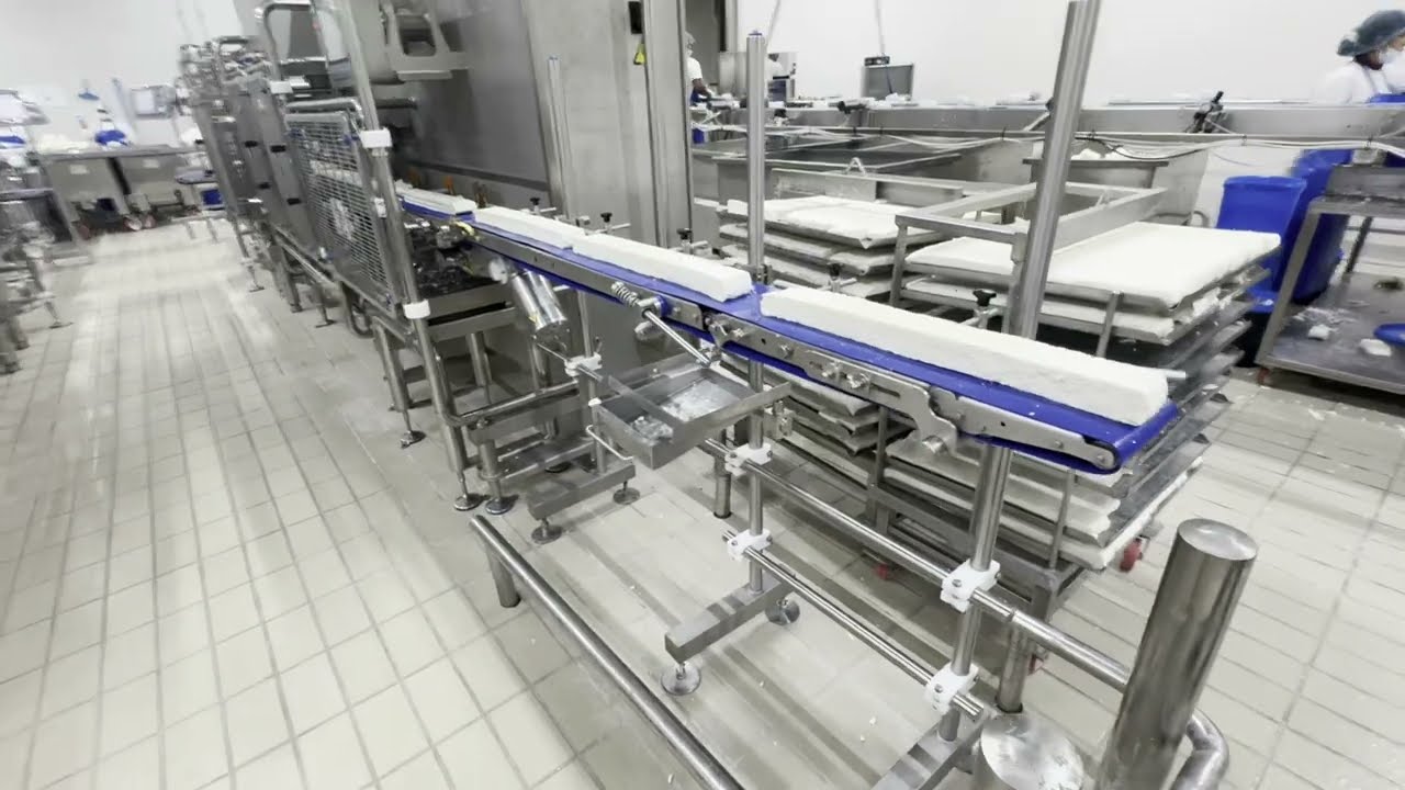 Automated Halloumi Portioning Machine &ndash; Cutting-Edge Technology for Precision