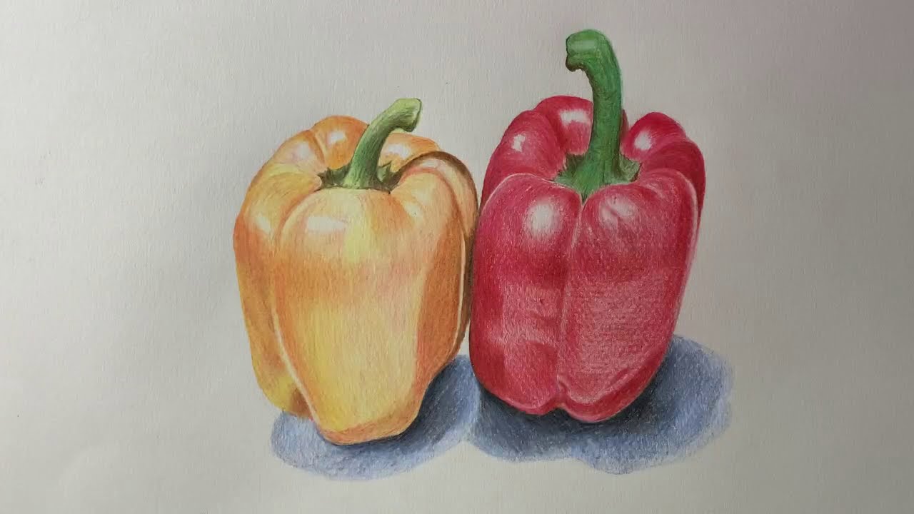 colored pencils رسم فلفل بالوان الخشب