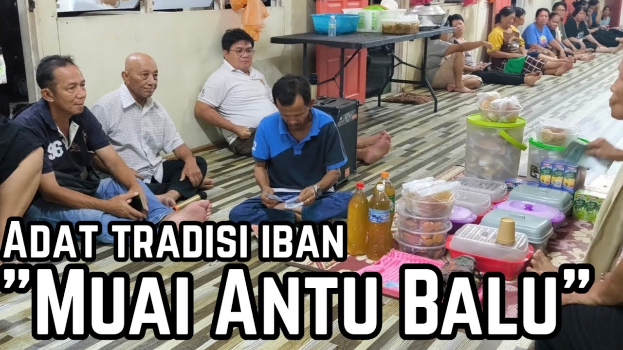 Adat Muai Antu Balu | Tradisi Unik Masyarakat Dayak Borneo Yang Masih Diamalkan Hingga Kini 🌾✨