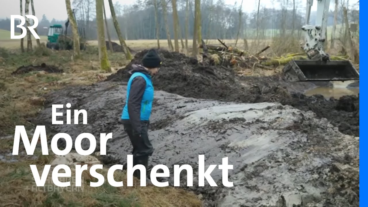 Feuchtwiesen renaturieren: Ein Moor zur Rettung verschenkt | Schwaben + Altbayern | BR