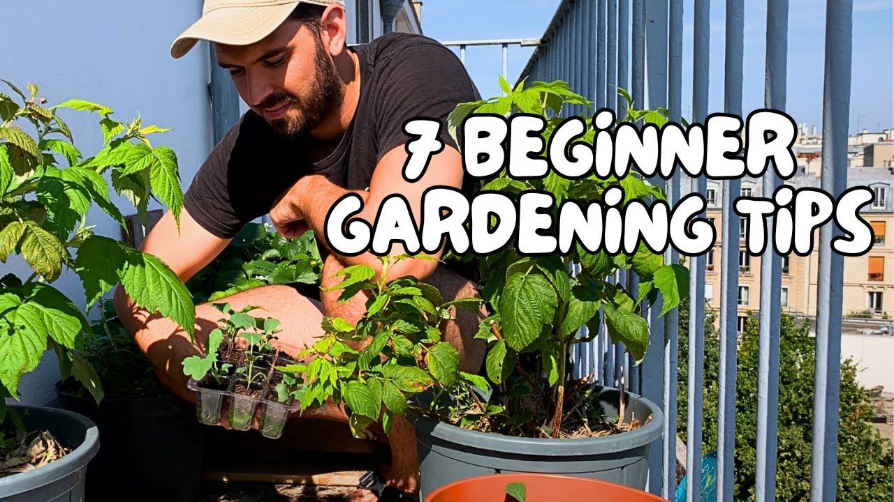 Best Gardening Tips for Beginners | Start Your First Garden the RIGHT Way